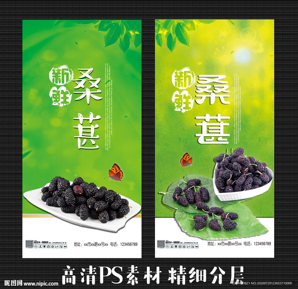 桑葚