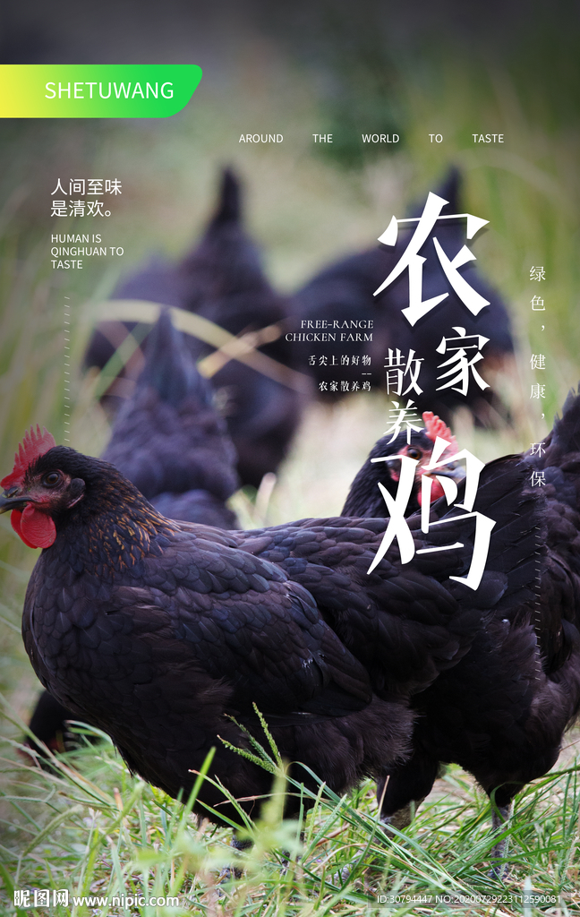 农家土鸡