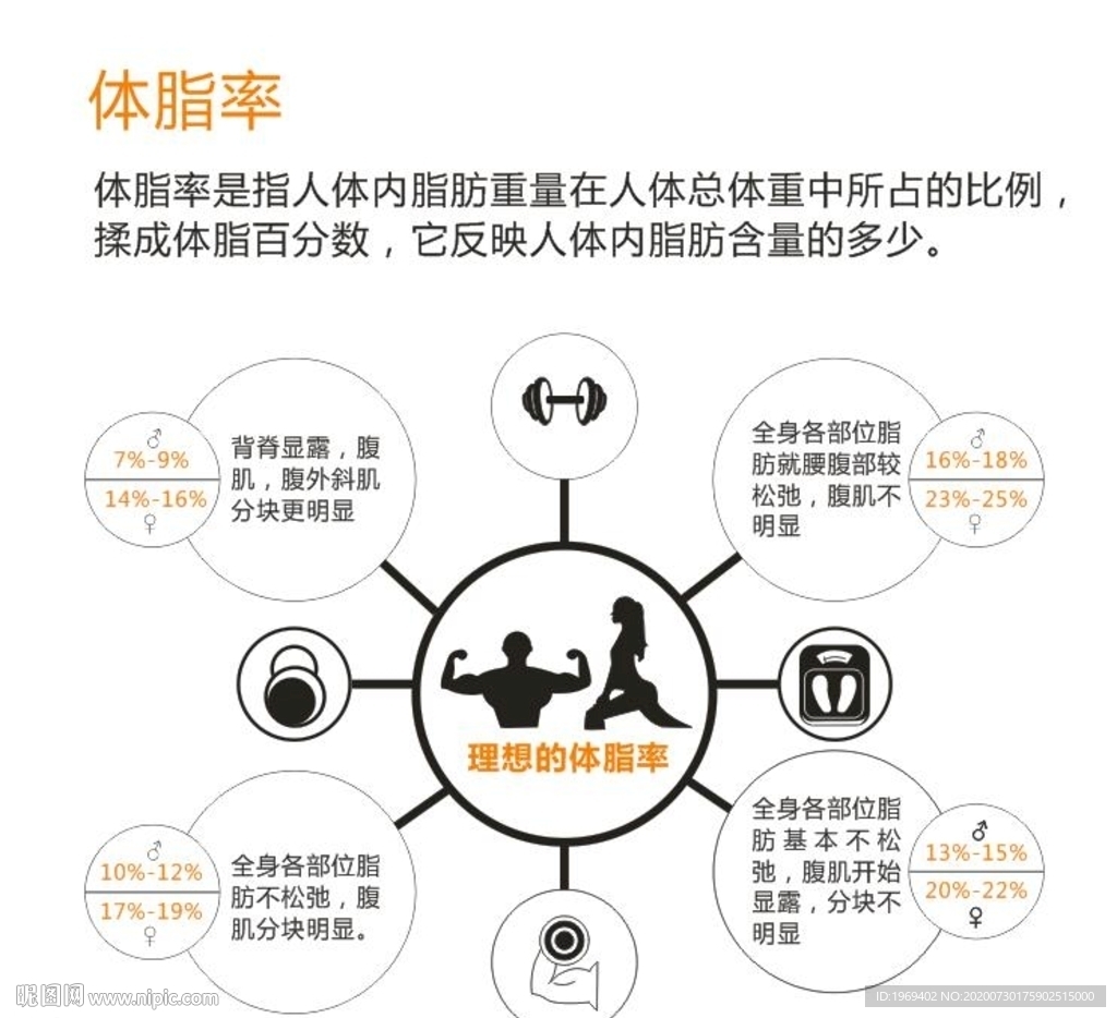 体脂率矢量示意图