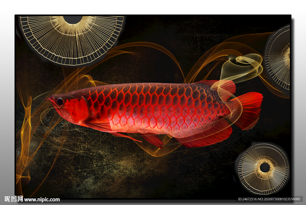 抽象鱼装饰画玄关背景