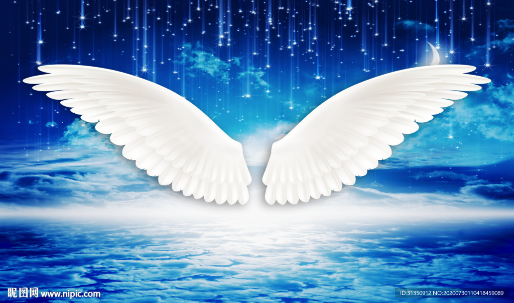 天使白色翅膀