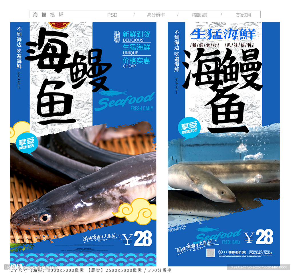 鳗鱼