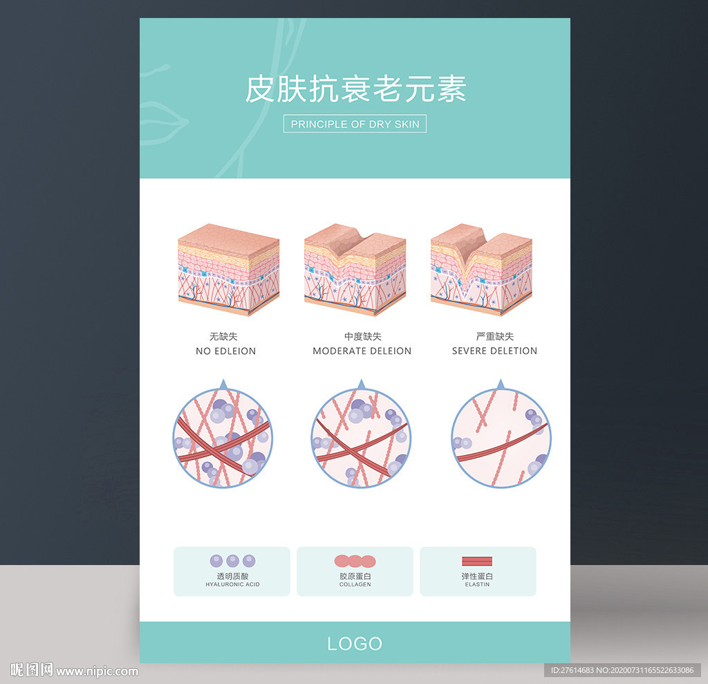 皮肤管理挂画