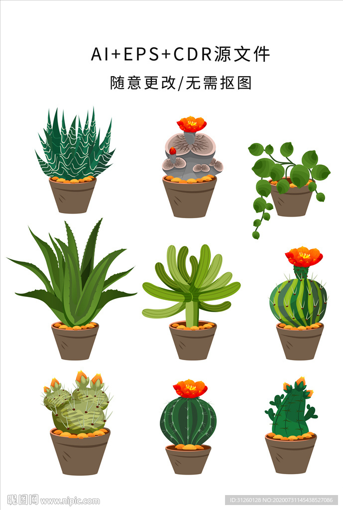 矢量手绘卡通仙人掌