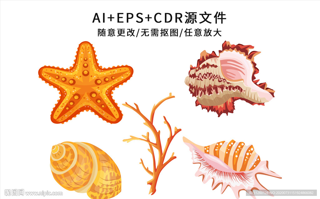 矢量手绘卡通贝壳