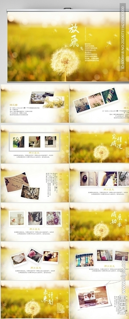 放飞梦想展望未来工作总结PPT