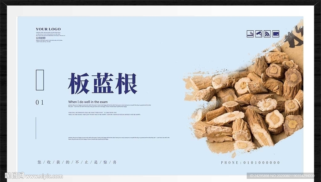 板蓝根