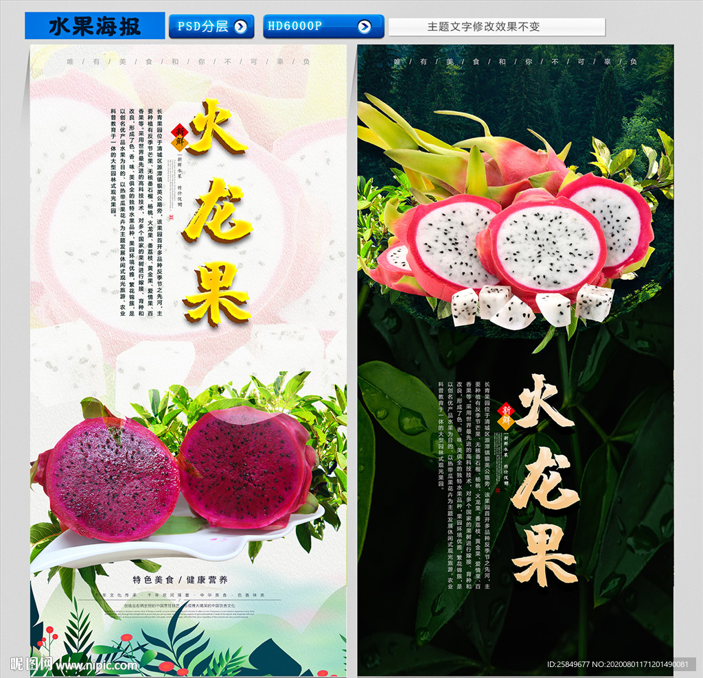 火龙果海报