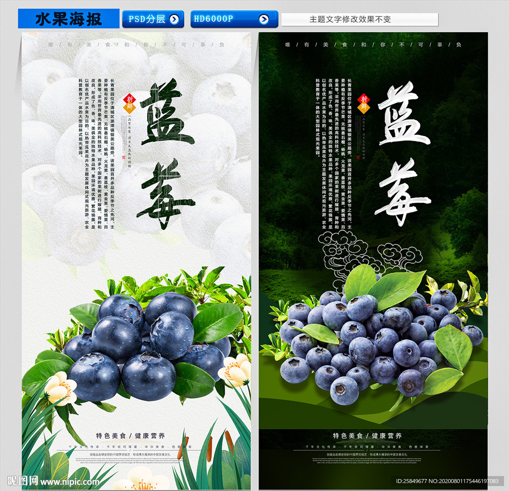 蓝莓