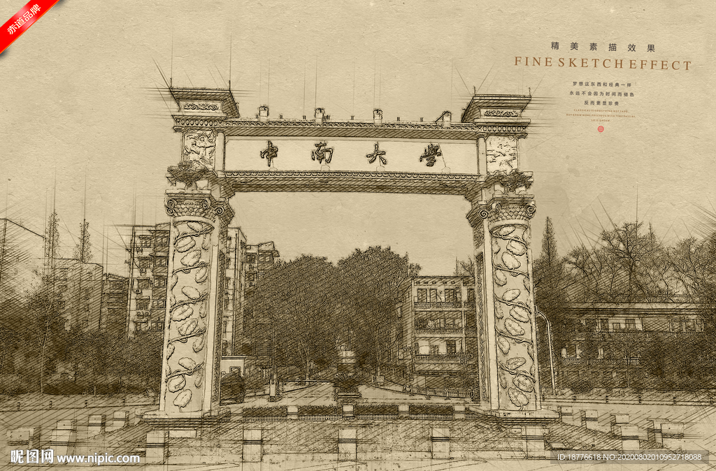 中南大学