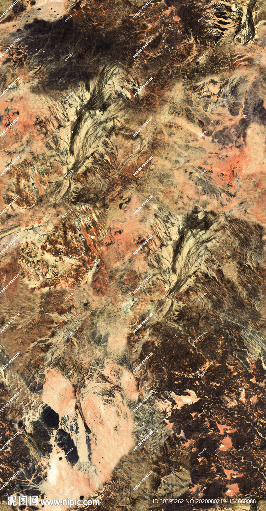 大牌 字母 花卉 花朵 复古花