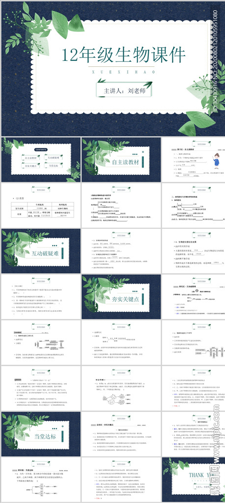 12年级生物课件PPT模板