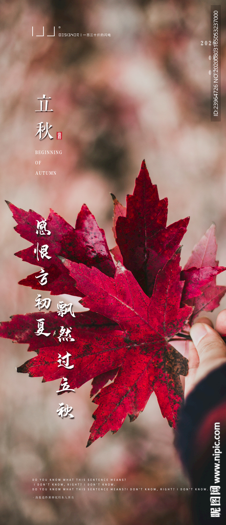 立秋海报