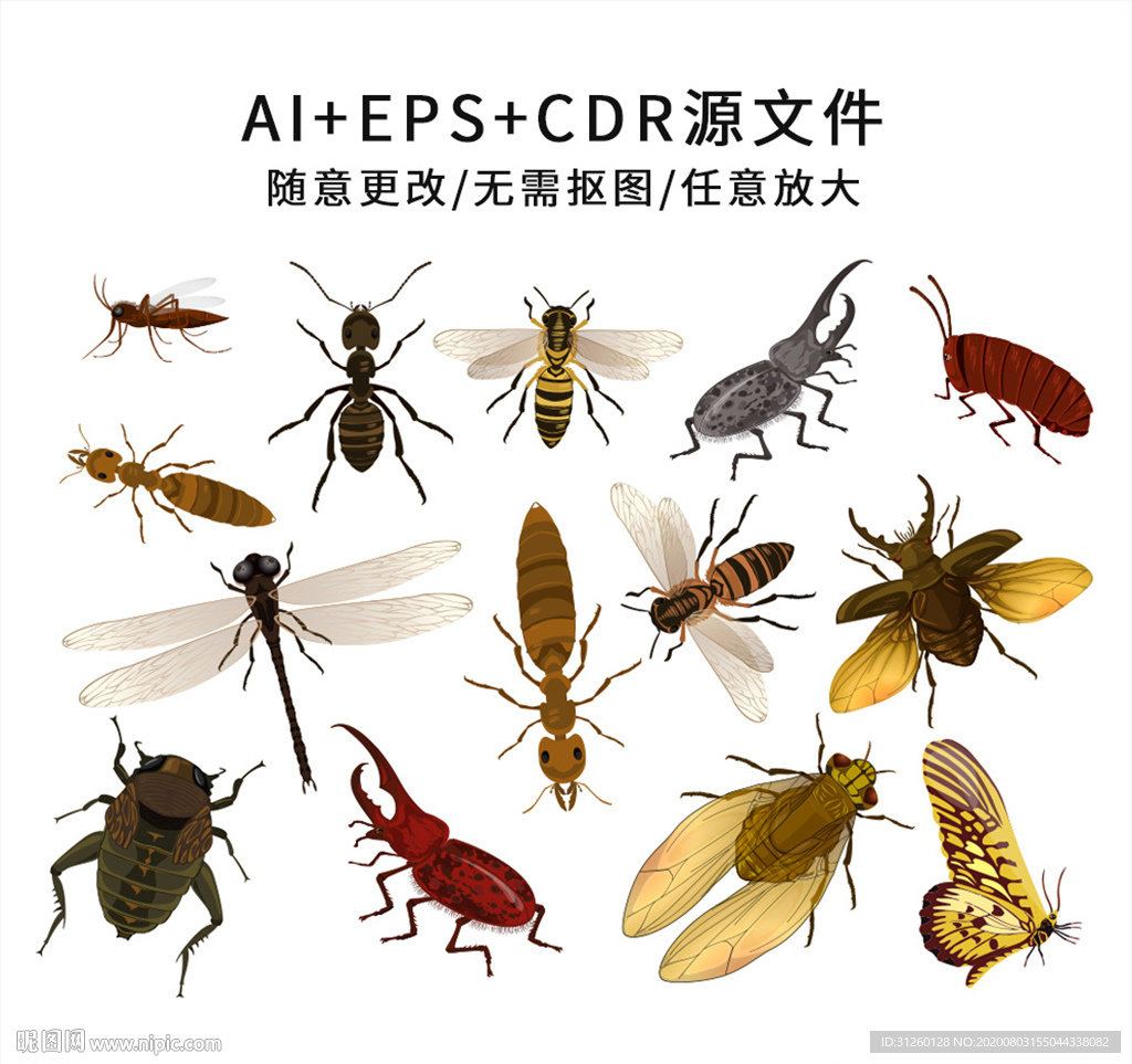 卡通手绘昆虫