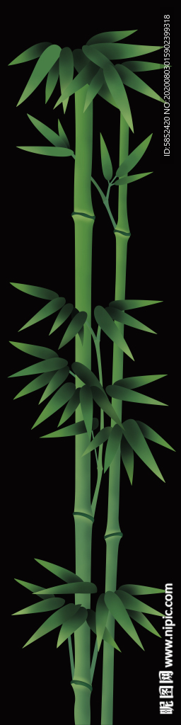 竹
