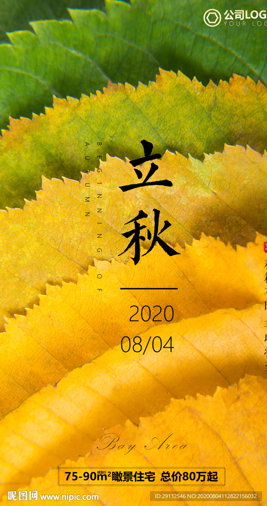 立秋 叶子
