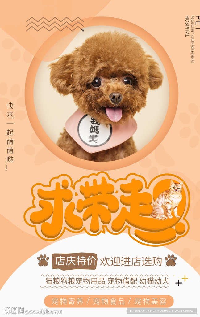 宠物 求带走