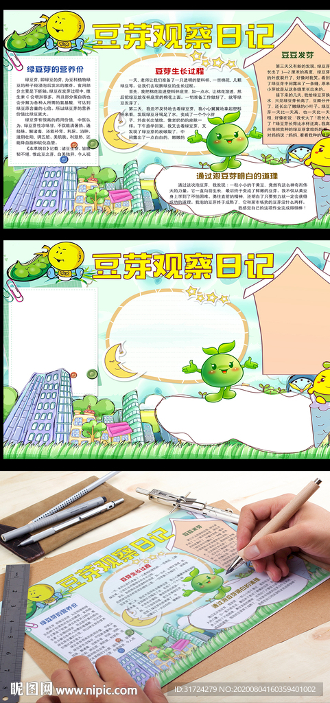 植物生长黄豆芽观察日记小报手抄