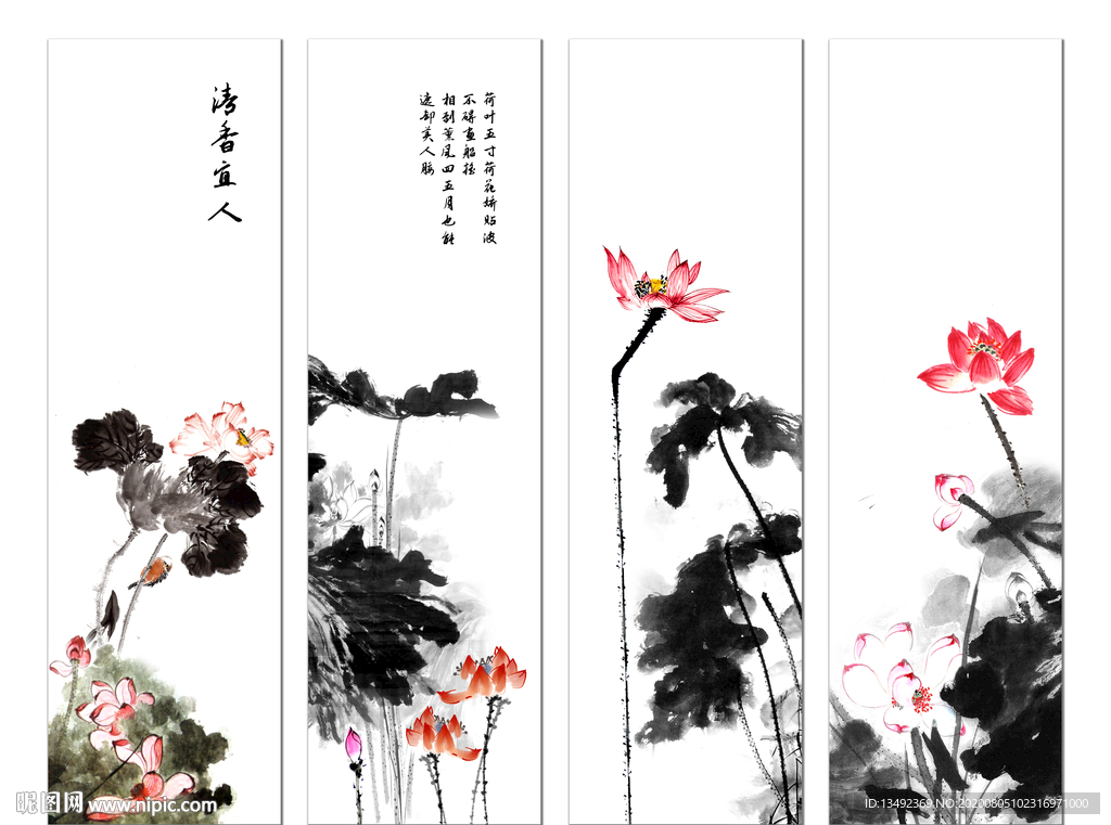 荷花图