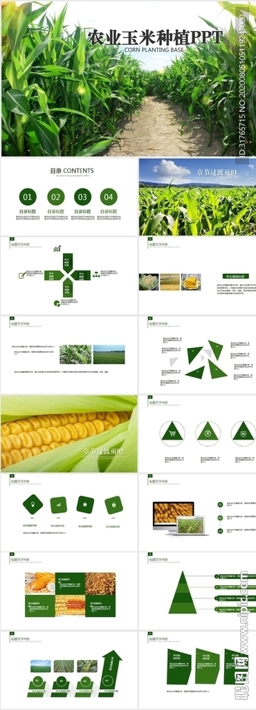 绿色农业产品农场玉米种植PPT