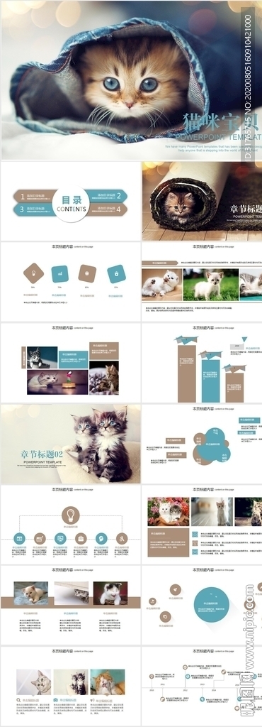 可爱萌宠猫咪宠物医院PPT模板