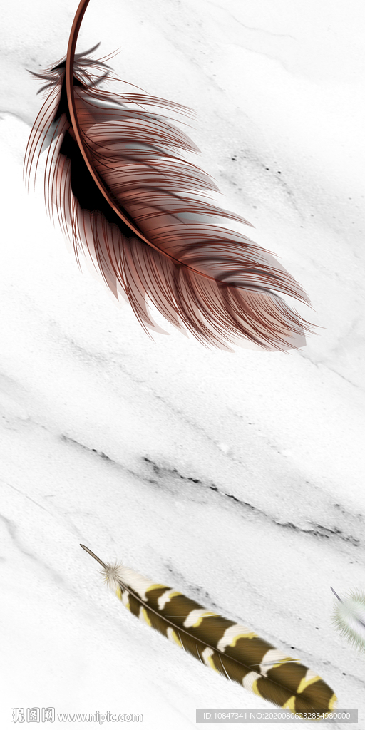 羽毛新意境画 TIF分层