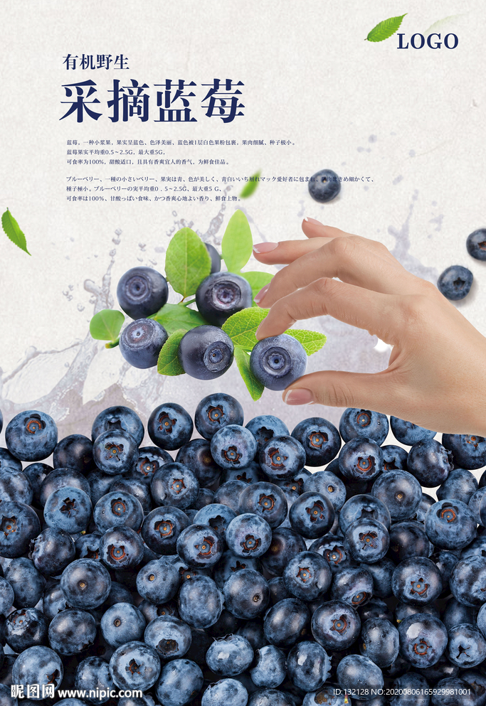 采摘蓝莓海报
