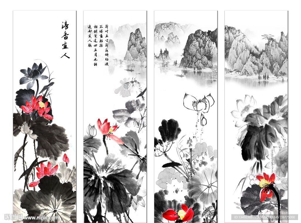 黑白荷花
