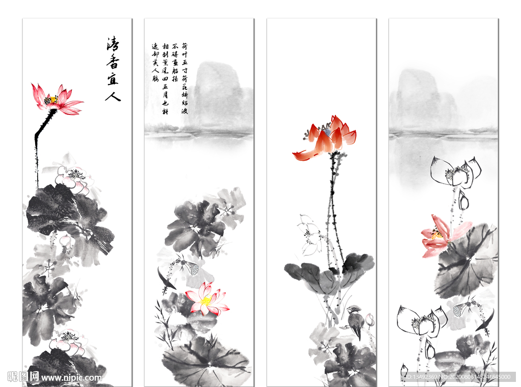 荷花图