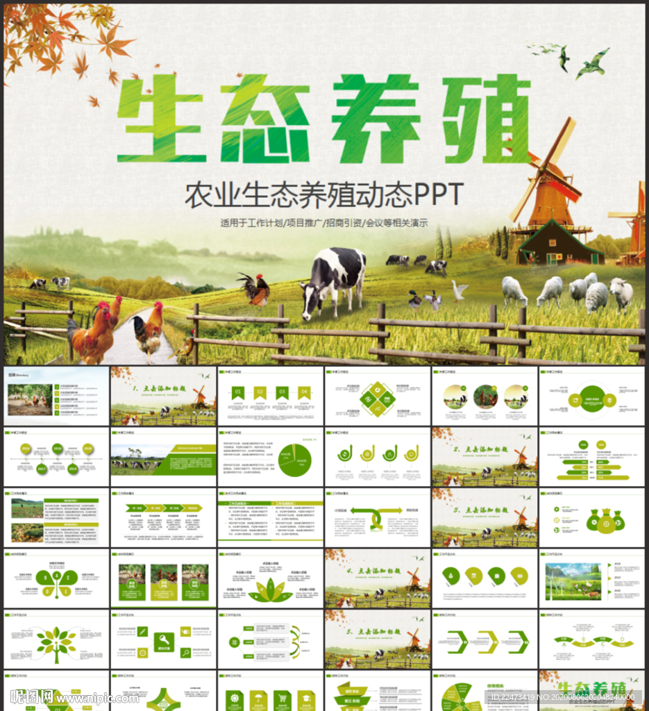 家禽养殖PPT