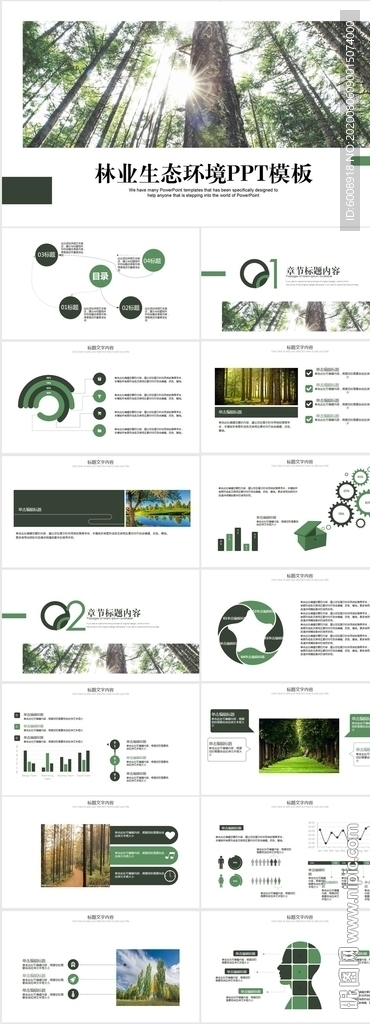 林业生态环境动态PPT模板