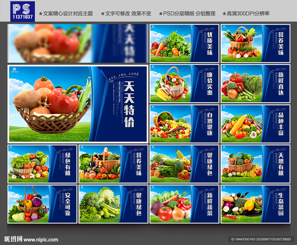 蔬菜海报