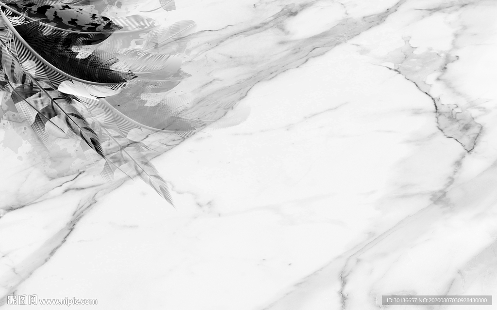 别墅意境唯美羽毛 TIF分层