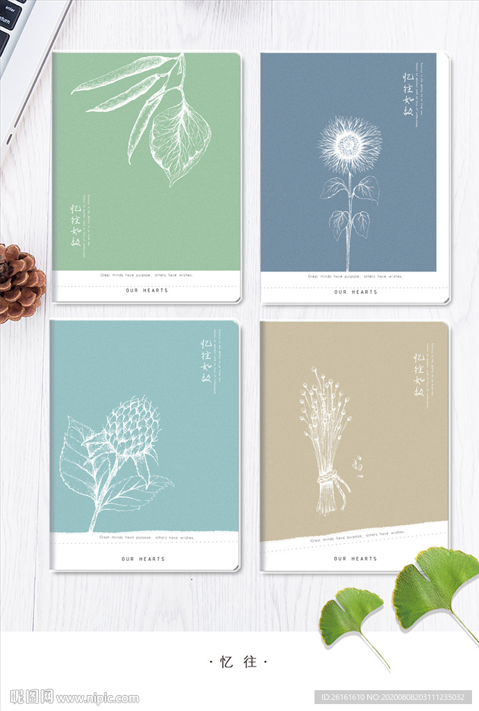 植物 本本 手绘 线稿