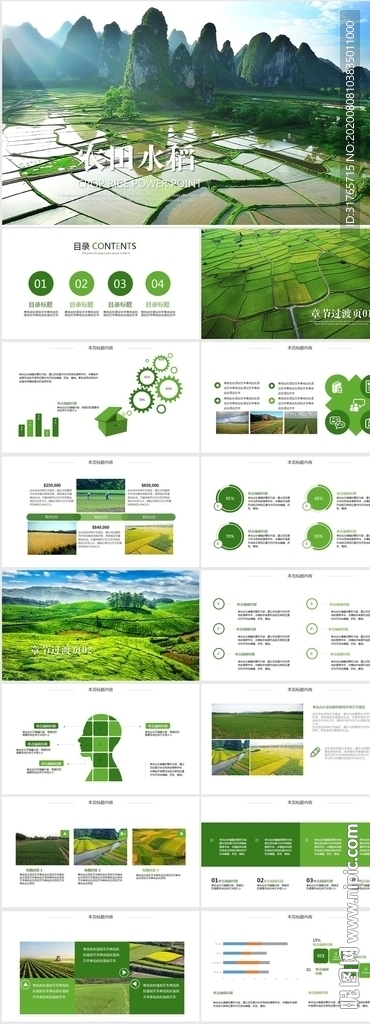 绿色农业农田水稻种植业PPT