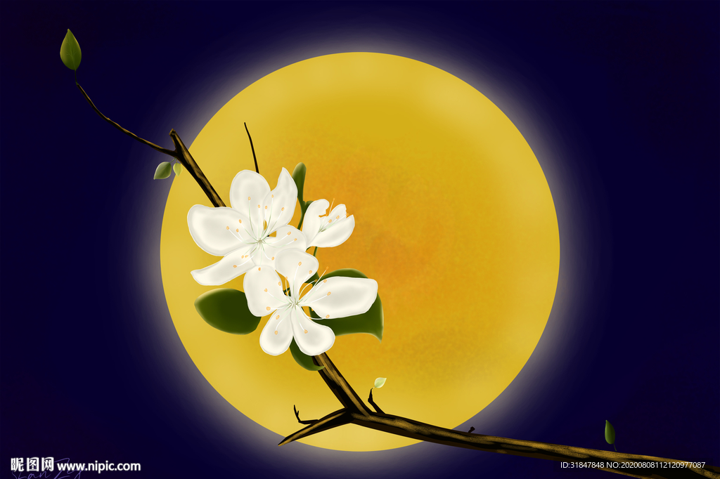 花枝满月鼠绘插画