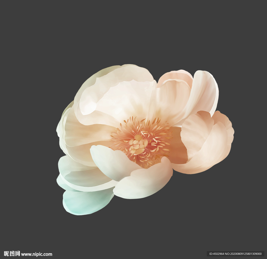 手绘花