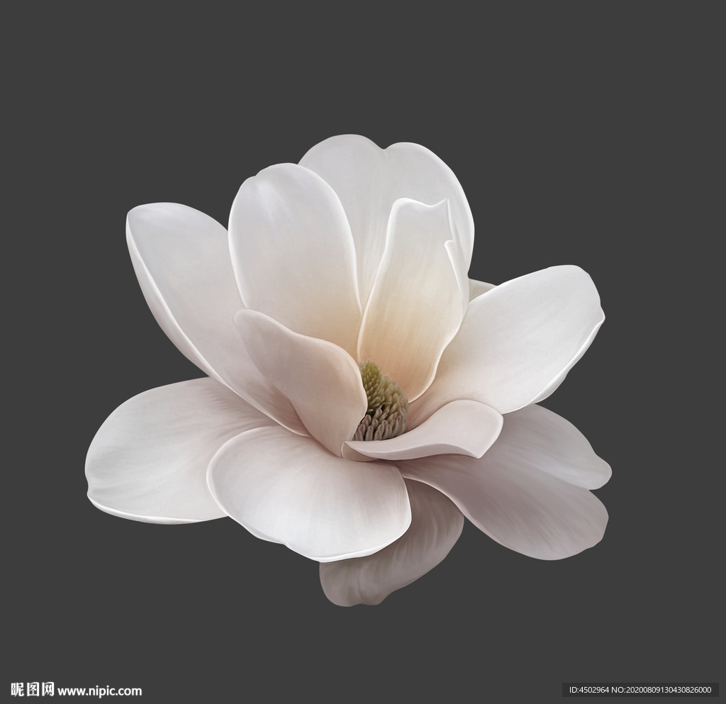 手绘花