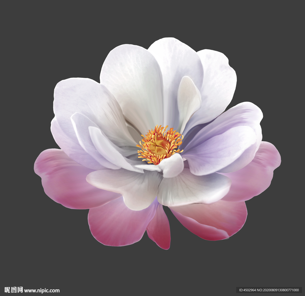 手绘花