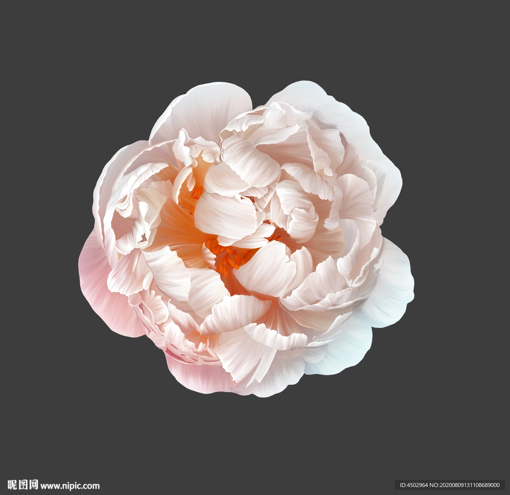 手绘花