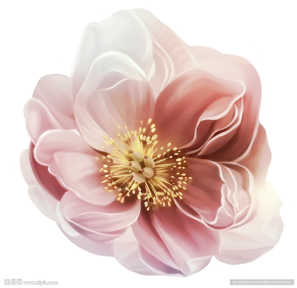 手绘花