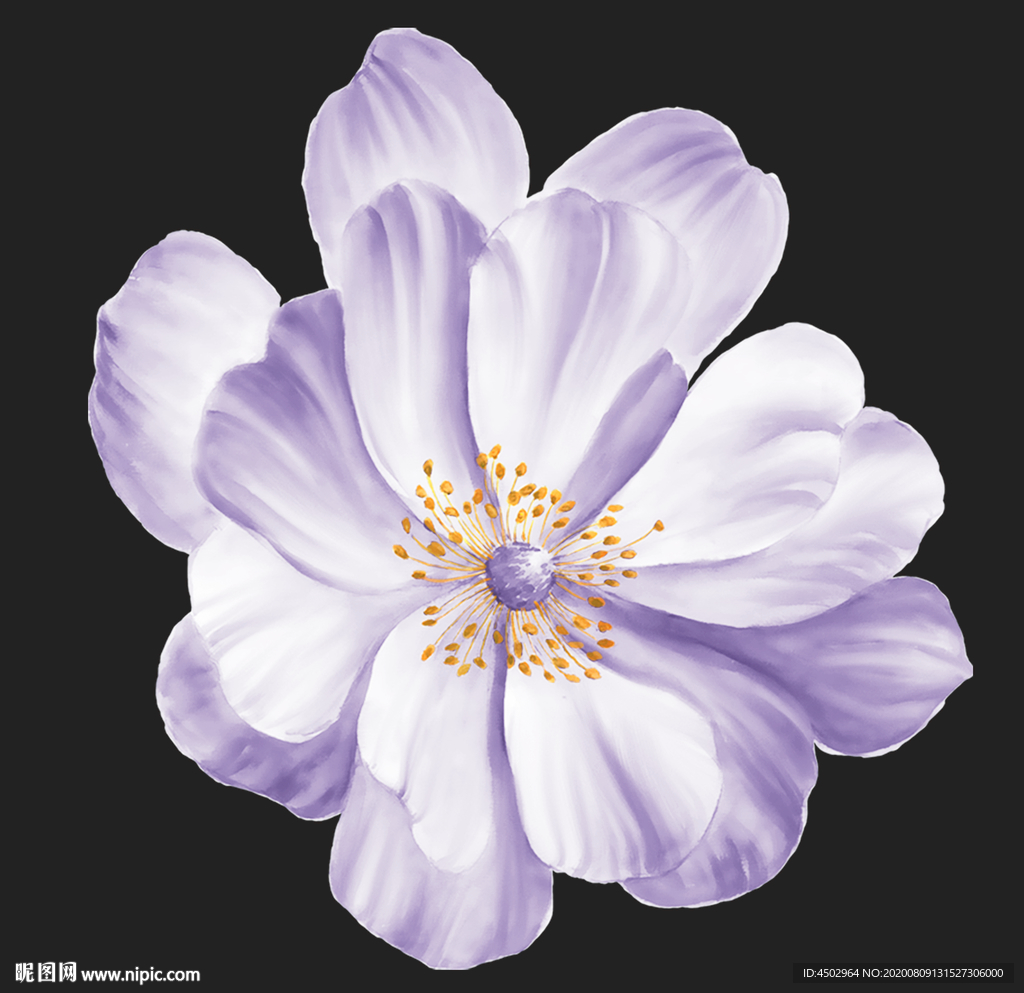 手绘花