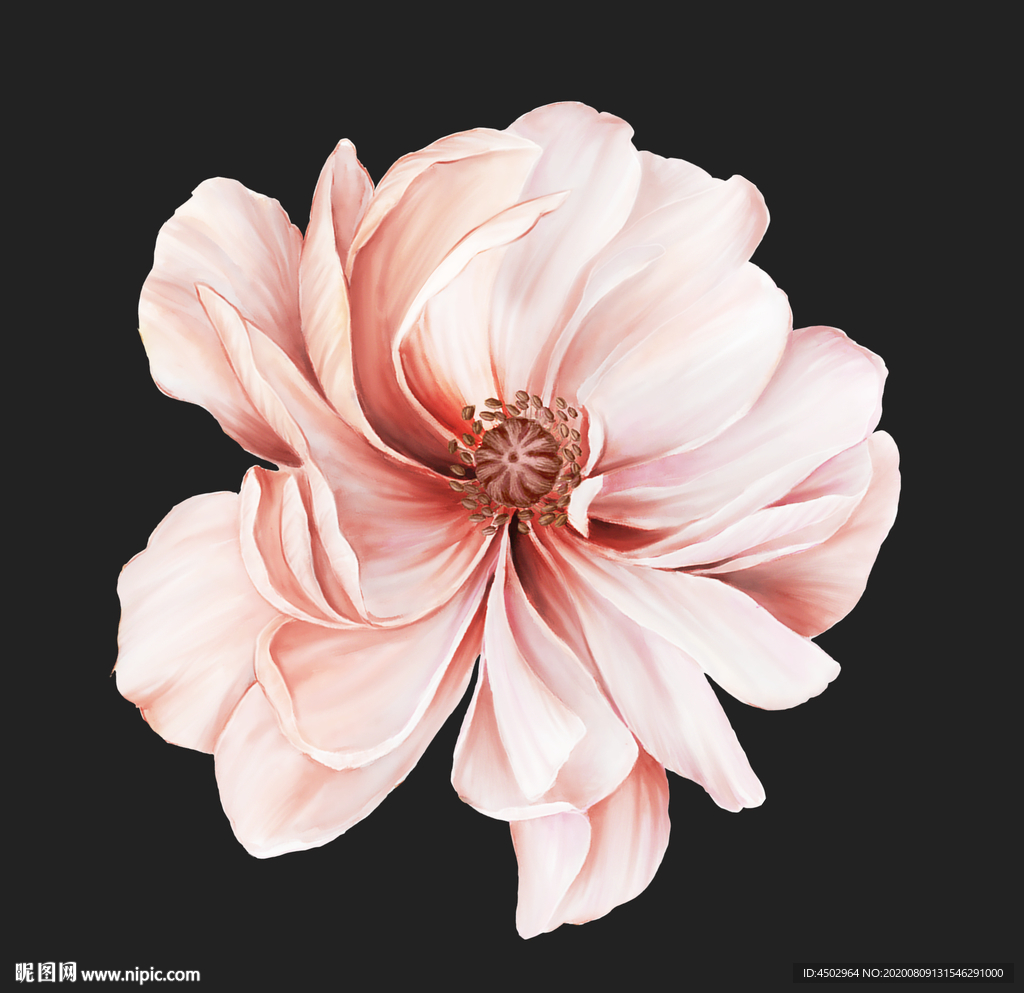 手绘花