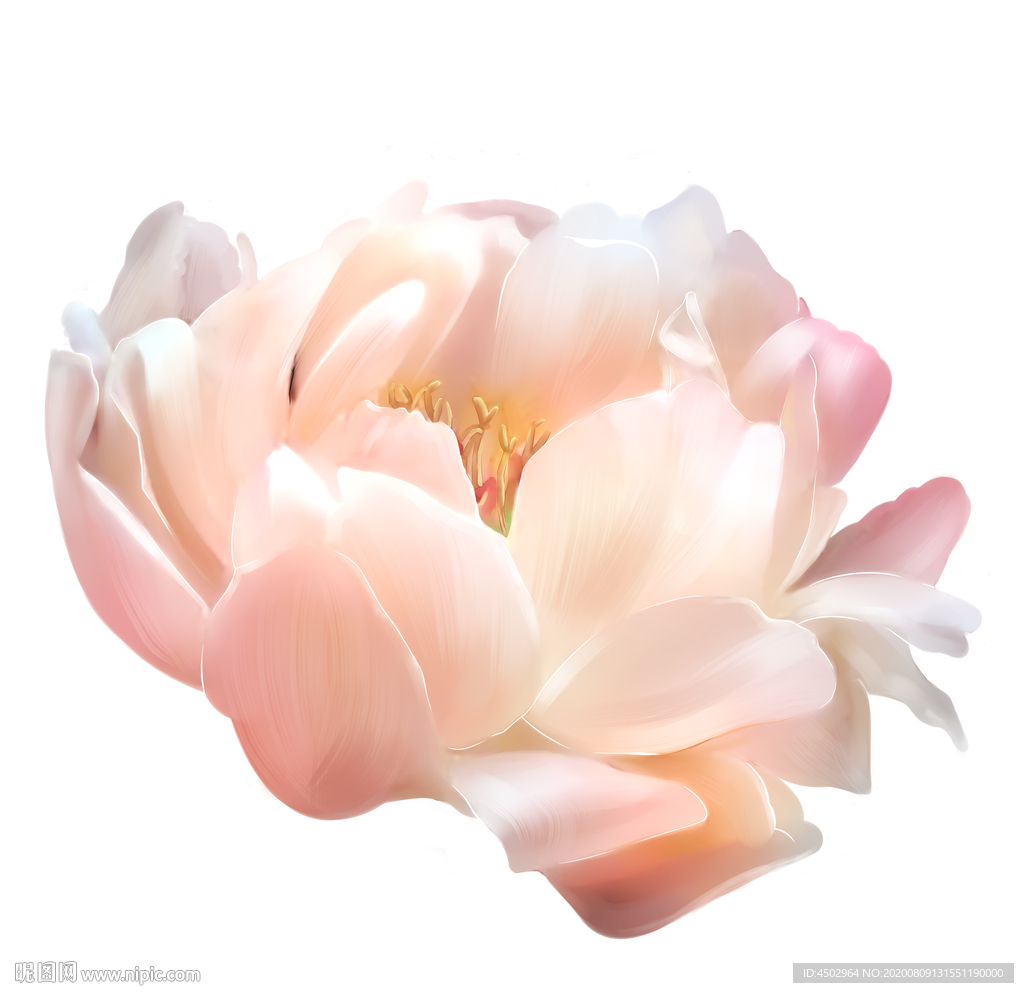 手绘花