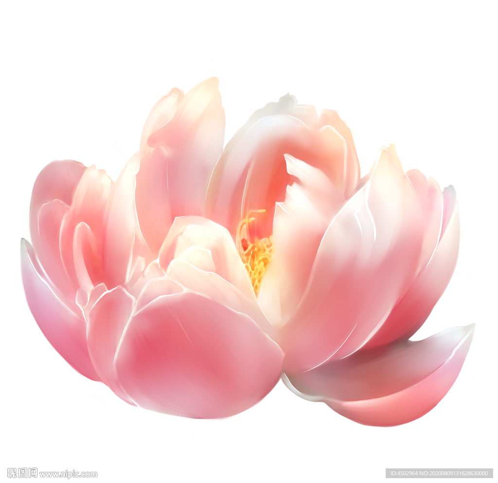 手绘花
