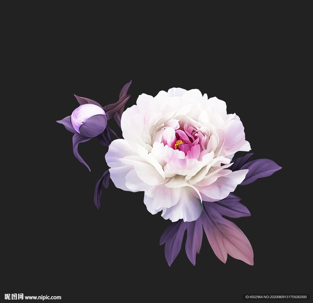 手绘花