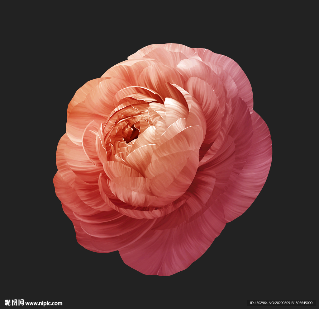 手绘花