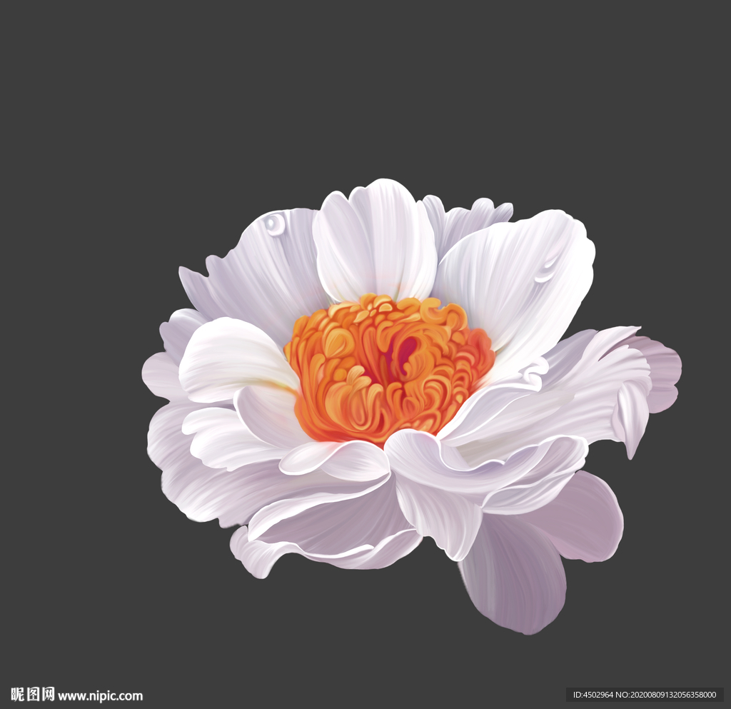 手绘花