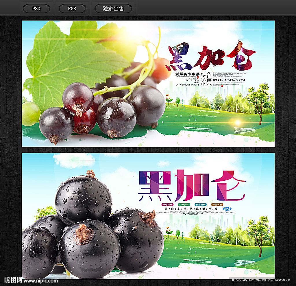 黑加仑