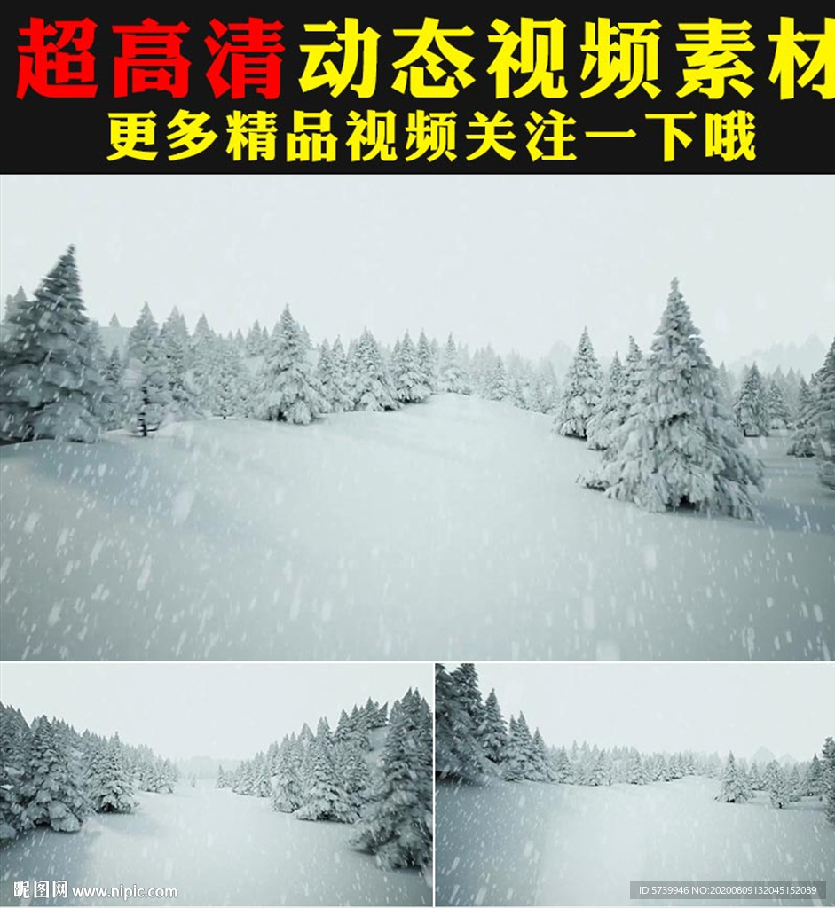 唯美下雪松树雪景冬天视频